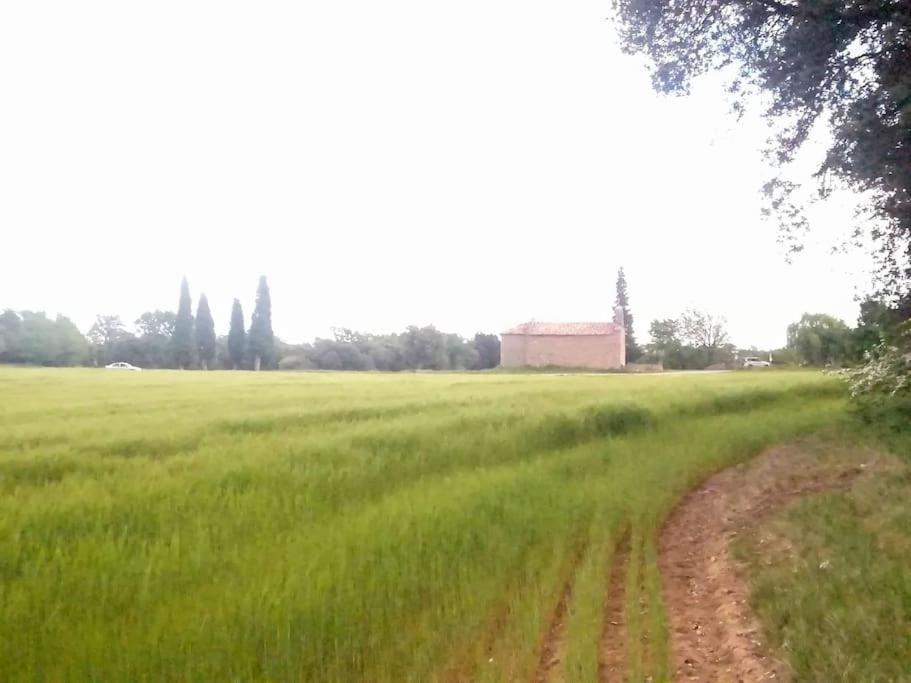 El Niuet De Cal Cacuet, La Teva Escapada Rural. Apartment Avia Luaran gambar