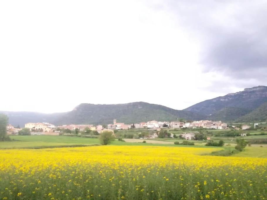 El Niuet De Cal Cacuet, La Teva Escapada Rural. Apartment Avia Luaran gambar
